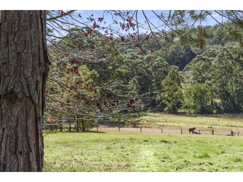 F1563 Princes Highway, Termeil NSW 2539