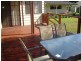 21 Northaven Avenue, Bawley Point NSW 2539