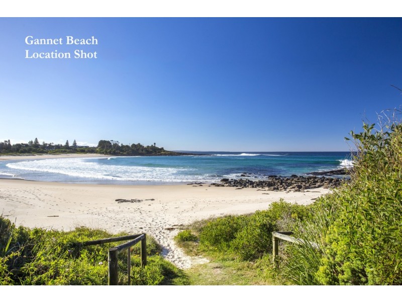 21 Northaven Avenue, Bawley Point NSW 2539