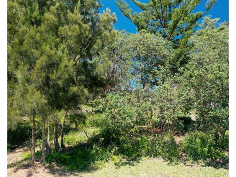 71 Kurrawa Drive, Kioloa NSW 2539