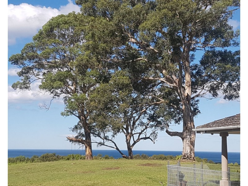 63 Bundle Hill Road, Bawley Point NSW 2539