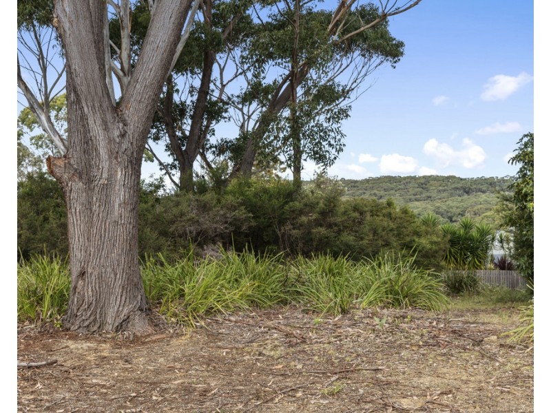 7 Forest Road, Kioloa NSW 2539