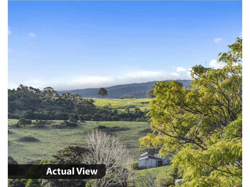 37 Gordon Street, Milton NSW 2538