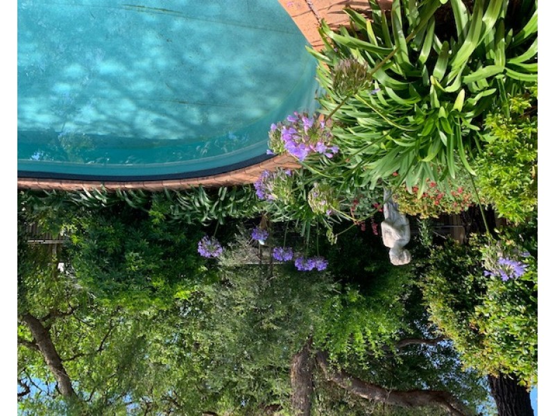 37 Gordon Street, Milton NSW 2538