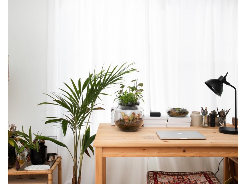 21 Hapgood Close, Kioloa NSW 2539