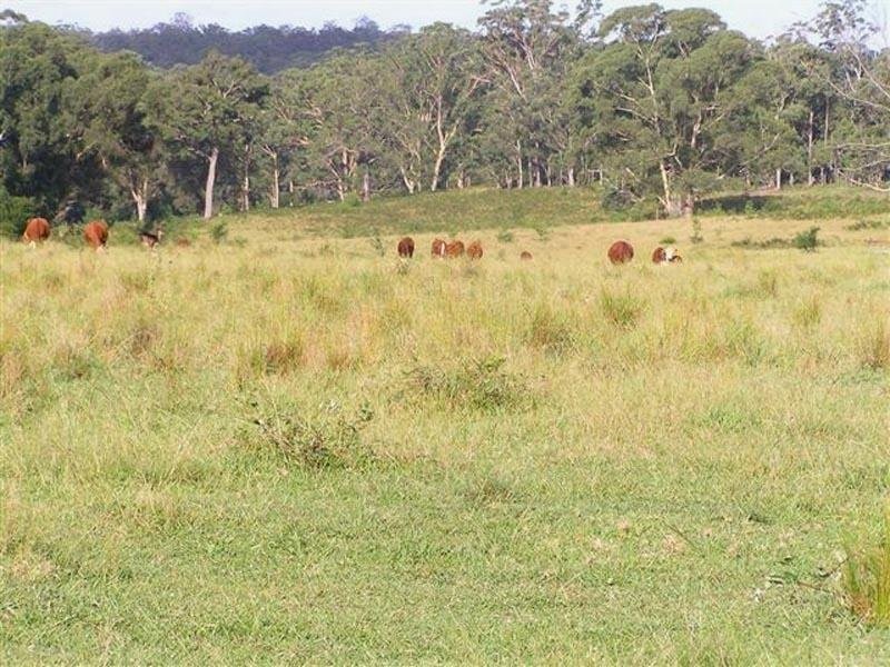 Lot 2 Brooman Road, Brooman NSW 2538