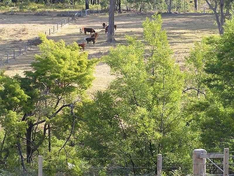 Lot 2 Brooman Road, Brooman NSW 2538