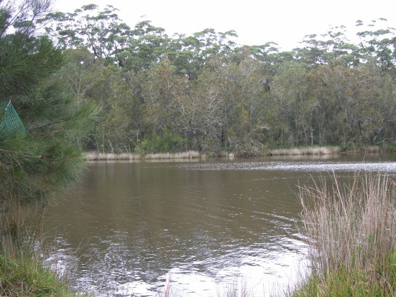 10 Princes Highway, Lake Tabourie NSW 2539