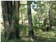 Lot 23 River Road, Brooman NSW 2538