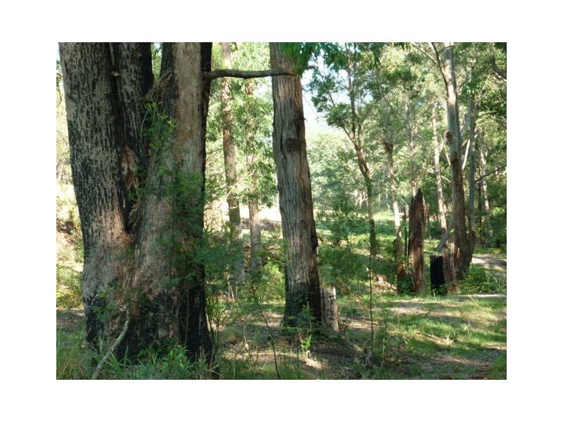 Lot 23 River Road, Brooman NSW 2538