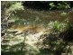 Lot 23 River Road, Brooman NSW 2538