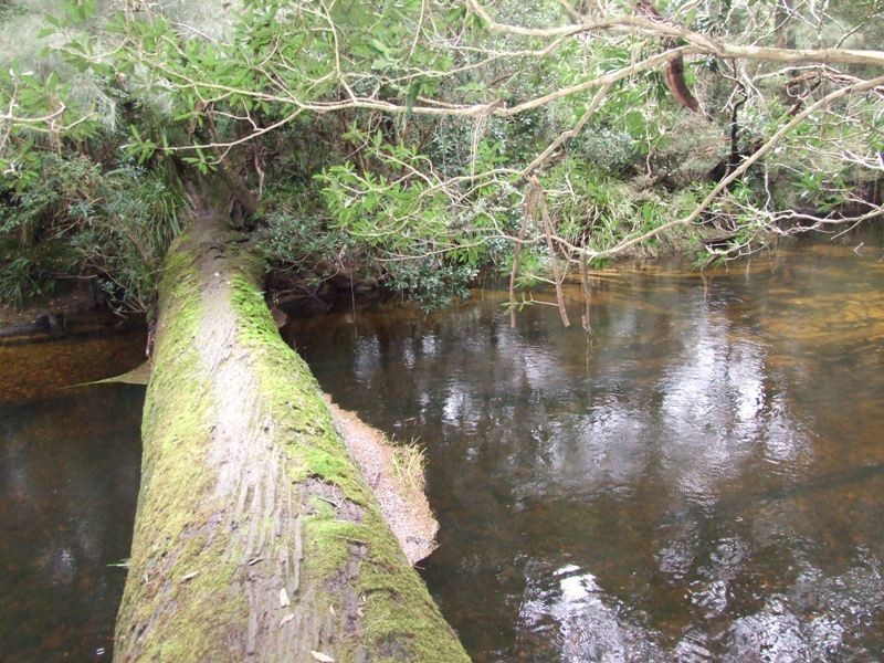 Lot 20 River Road, Brooman NSW 2538