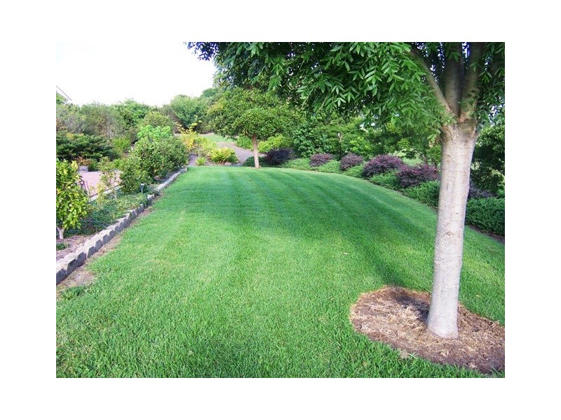 16 Hobbs Lane, Woodstock NSW 2538