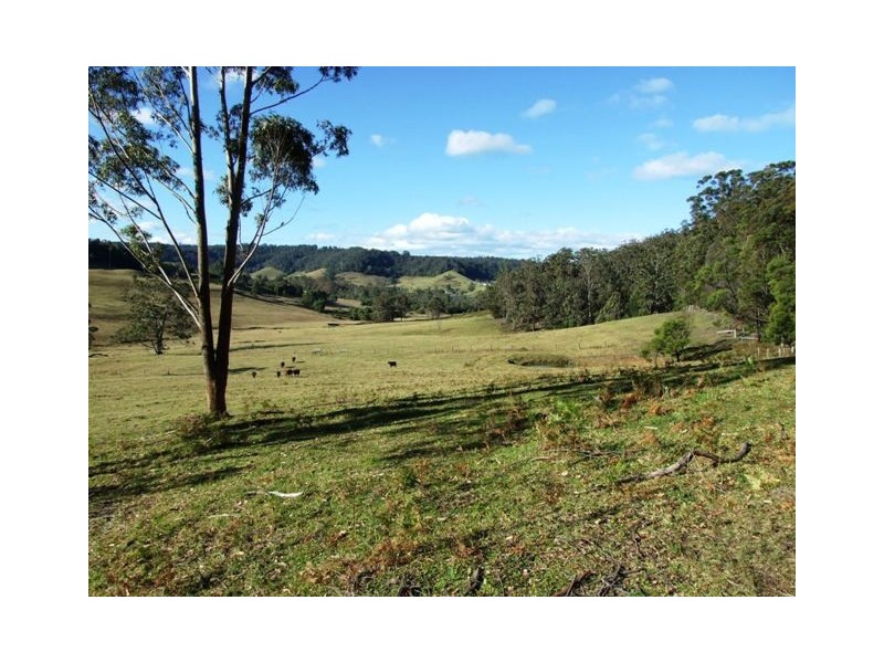 Lot 4 Fishermans Paradise Road, Conjola NSW 2539