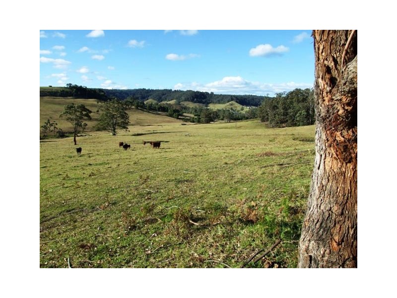 Lot 4 Fishermans Paradise Road, Conjola NSW 2539