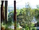47 Edward Avenue, Kings Point NSW 2539
