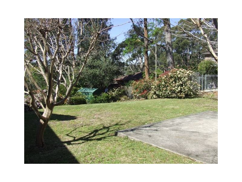 3 Bushland Avenue, Mollymook NSW 2539