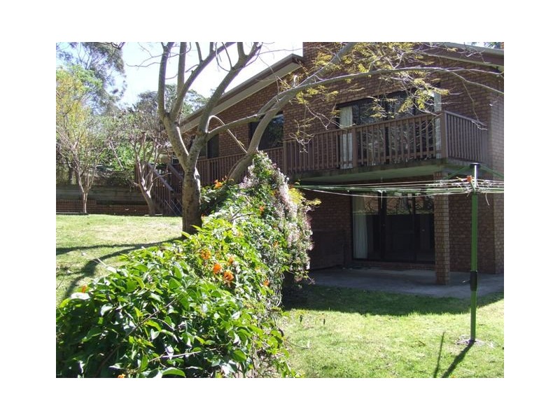 3 Bushland Avenue, Mollymook NSW 2539