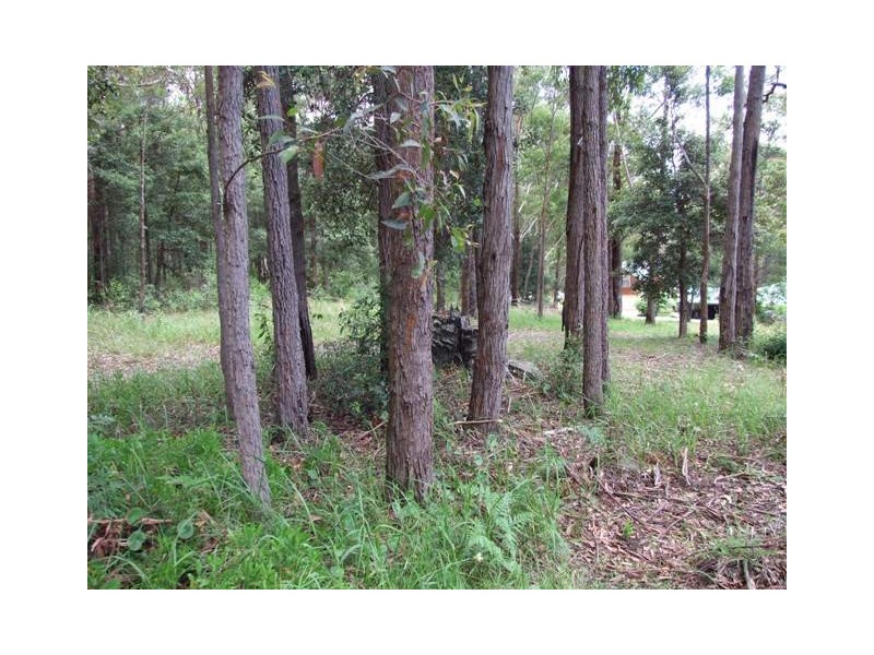 10 Blake Place, Narrawallee NSW 2539