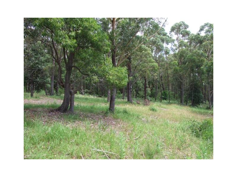 10 Blake Place, Narrawallee NSW 2539