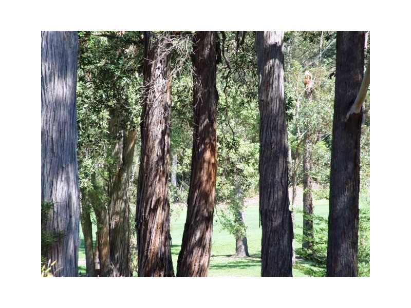 2/30 Augusta Place, Mollymook NSW 2539