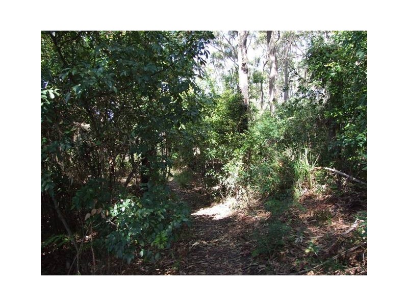 Lot 12 North Bendalong Road, Bendalong NSW 2539
