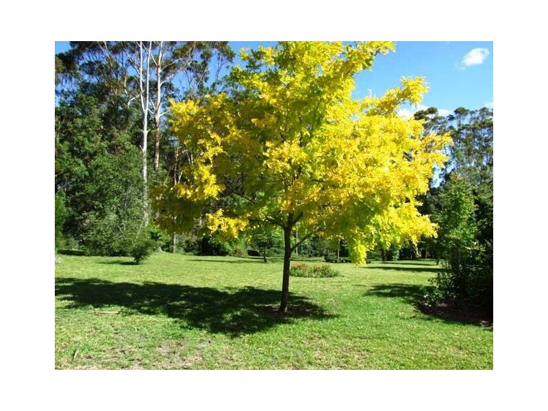 86 Slaughterhouse Road, Milton NSW 2538