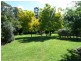 86 Slaughterhouse Road, Milton NSW 2538