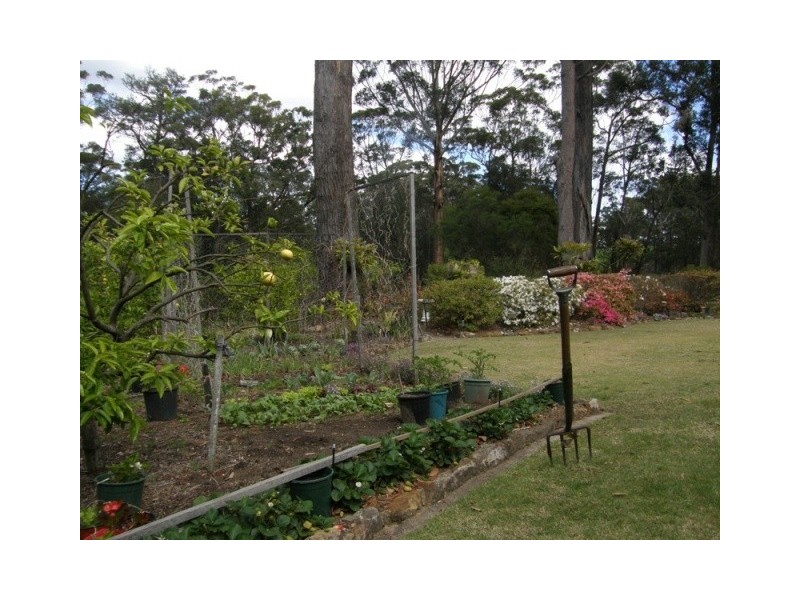 37 Clyde Street, Mollymook NSW 2539