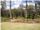 37 Clyde Street, Mollymook NSW 2539