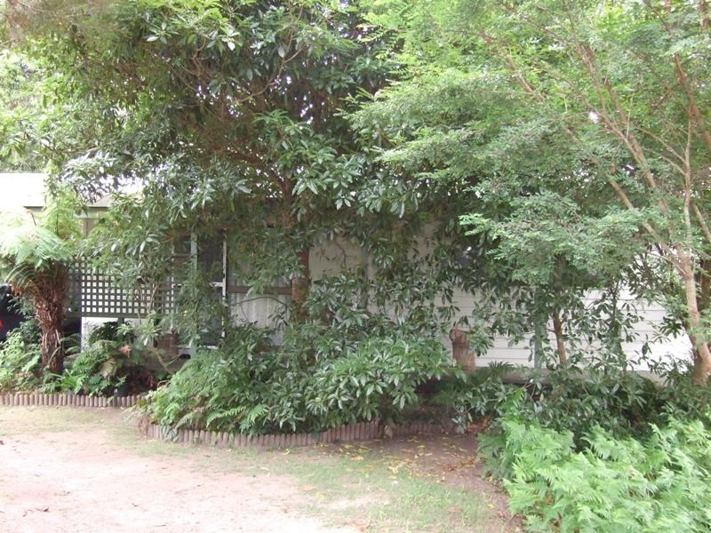 13 Alma Avenue, Fishermans Paradise NSW 2539