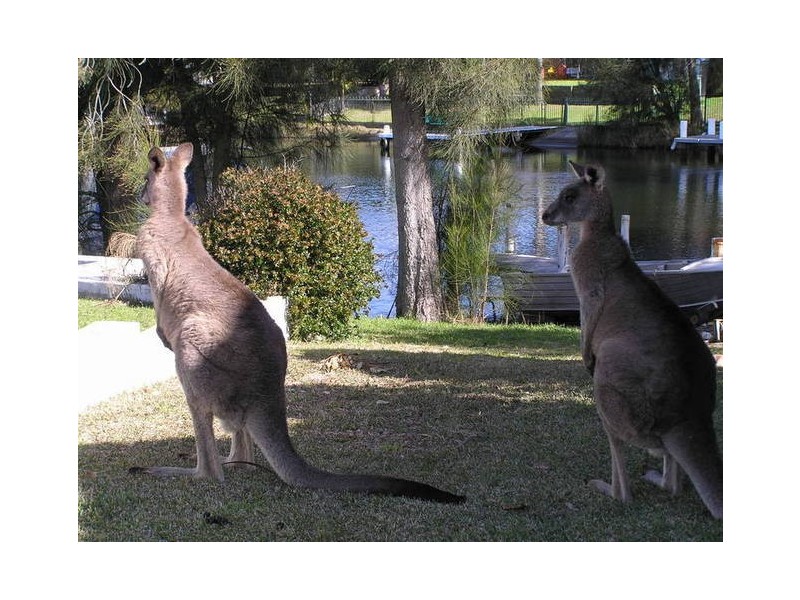 98 Jacobs Drive, Sussex Inlet NSW 2540