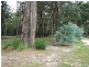 275A Matron Porter Drive, Narrawallee NSW 2539