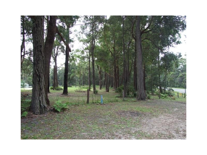 275A Matron Porter Drive, Narrawallee NSW 2539
