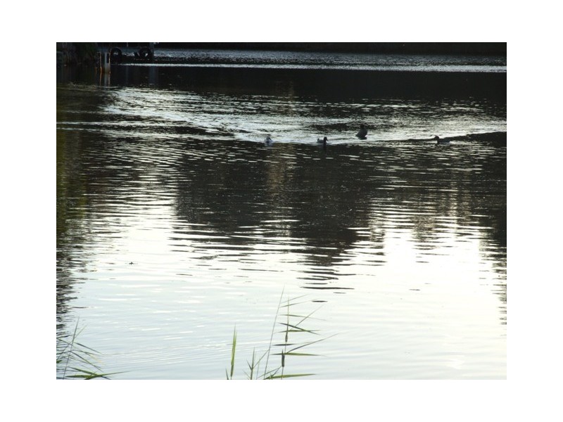 5 Paradise Place, Sussex Inlet NSW 2540