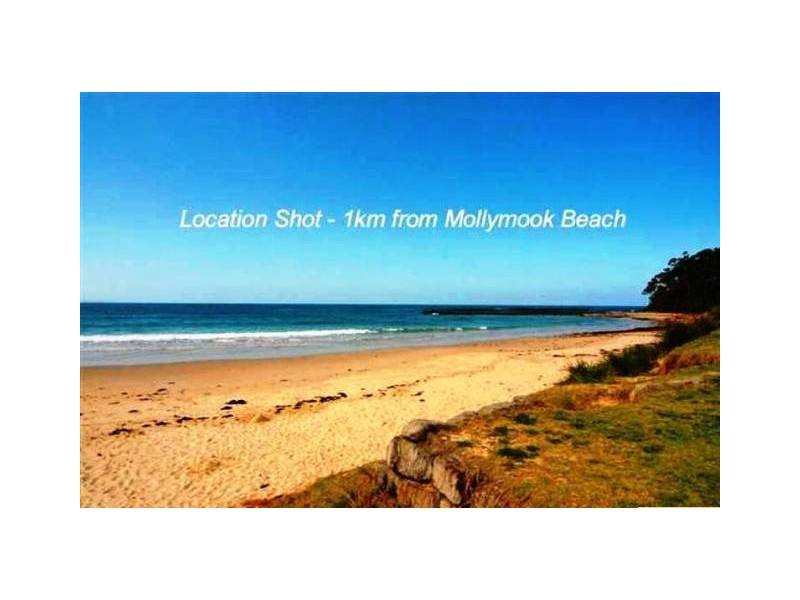 10 Ilett Street, Mollymook NSW 2539
