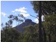 24 Clyde Ridge Road, Milton NSW 2538