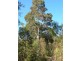 Lot 6 Woodburn Road, Milton NSW 2538