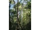 Lot 6 Woodburn Road, Milton NSW 2538