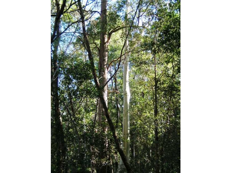 Lot 6 Woodburn Road, Milton NSW 2538