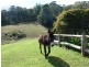 1273 Brooman Road, Brooman NSW 2538