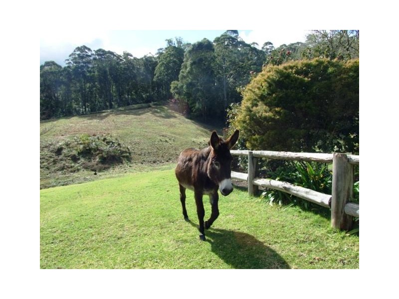 1273 Brooman Road, Brooman NSW 2538