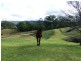 1273 Brooman Road, Brooman NSW 2538