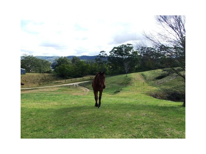 1273 Brooman Road, Brooman NSW 2538