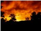 1273 Brooman Road, Brooman NSW 2538