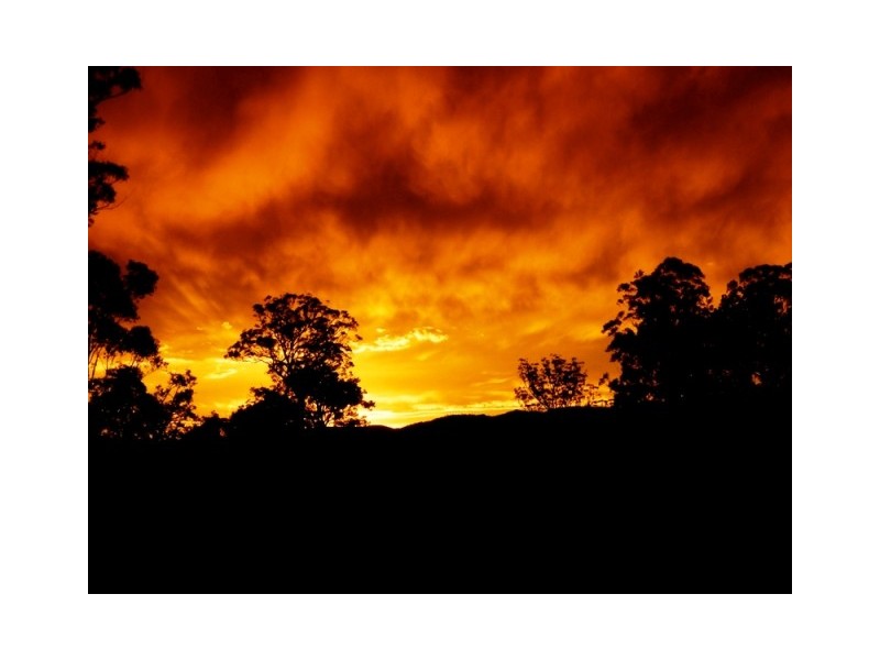 1273 Brooman Road, Brooman NSW 2538