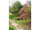 1273 Brooman Road, Brooman NSW 2538