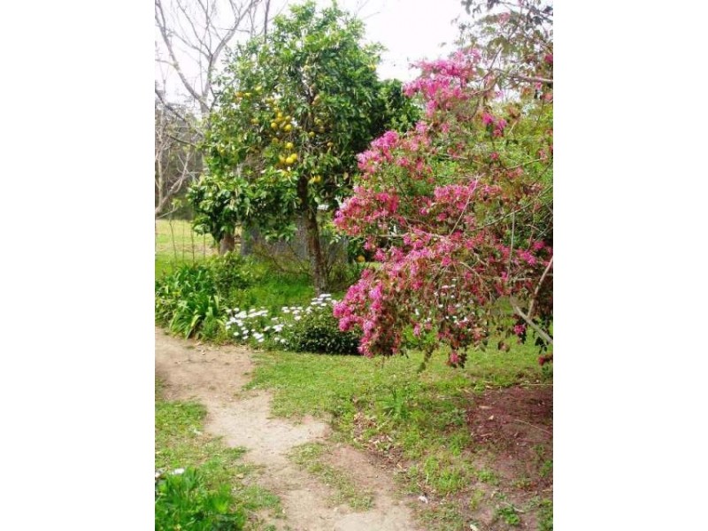 1273 Brooman Road, Brooman NSW 2538
