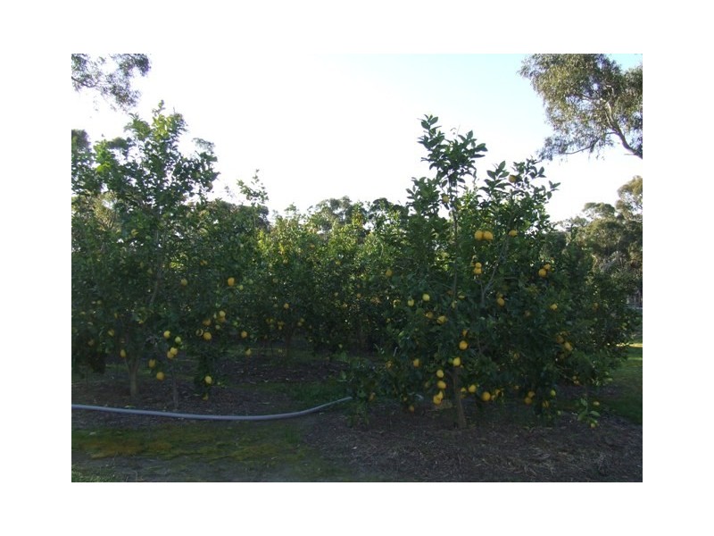 417 Sussex Inlet Road, Sussex Inlet NSW 2540