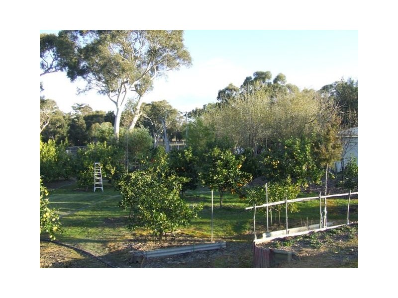 417 Sussex Inlet Road, Sussex Inlet NSW 2540